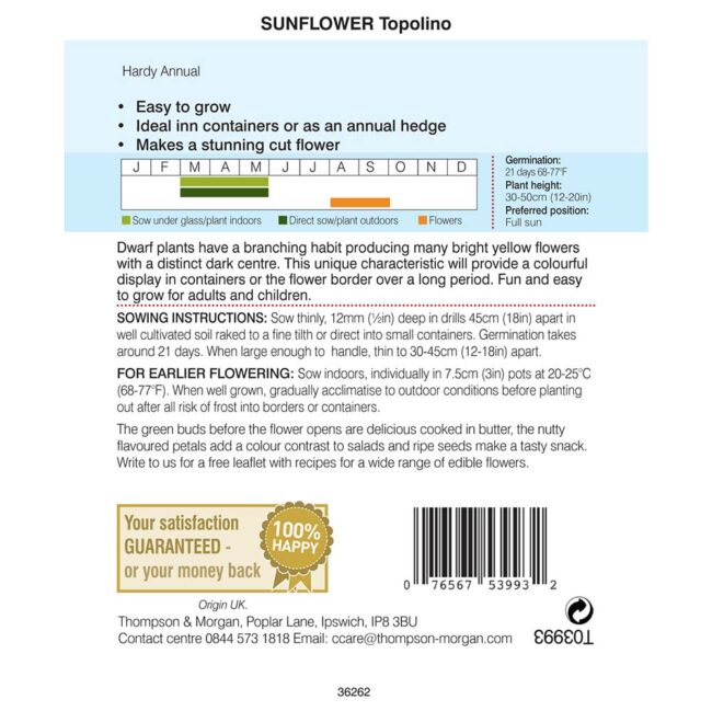 THOMPSON & MORGAN - SUNFLOWER TOPOLINO - Image 2