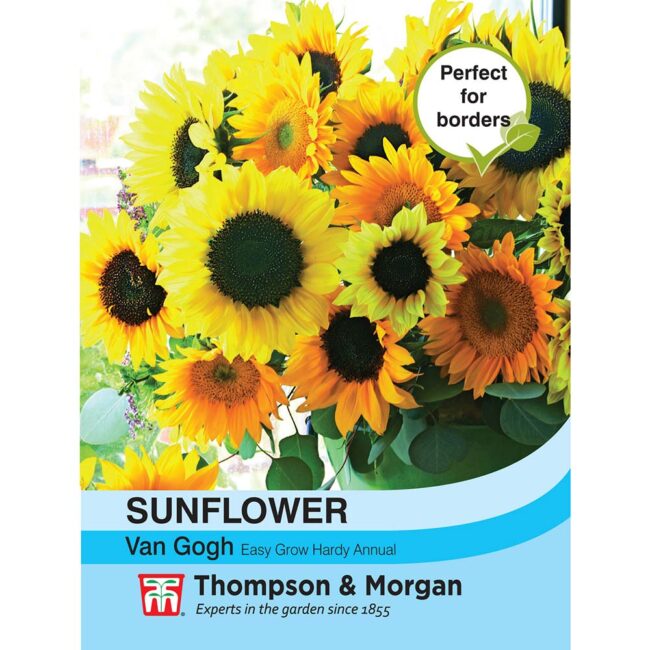 THOMPSON & MORGAN - SUNFLOWER VAN GOGH SEEDS