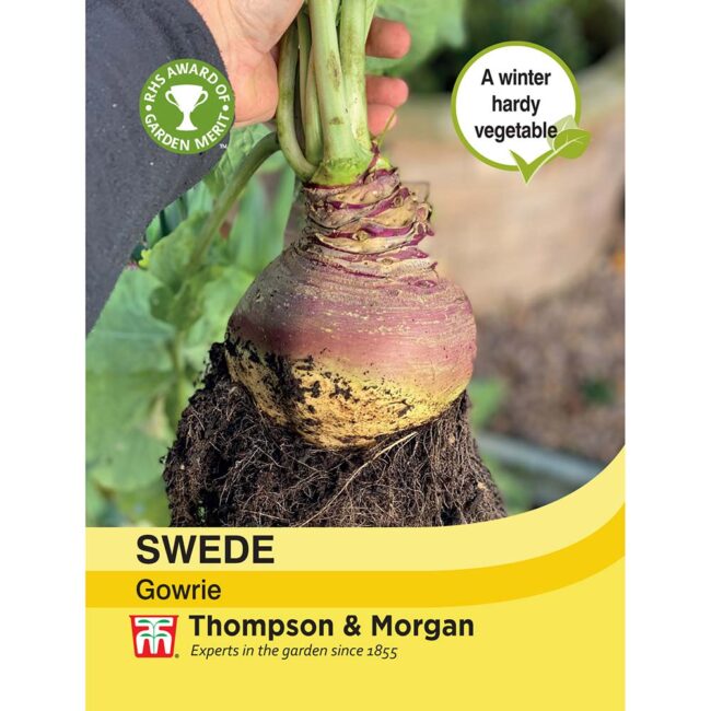 THOMPSON & MORGAN - SWEDE GOWRIE