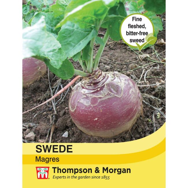 THOMPSON & MORGAN - SWEDE MAGRES SEEDS