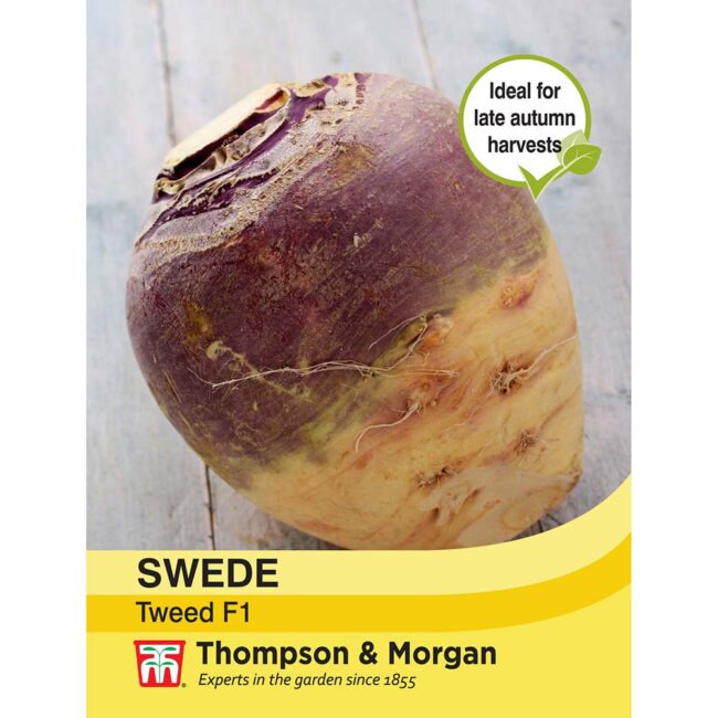 THOMPSON & MORGAN - SWEDE TWEED SEEDS