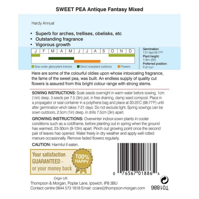 THOMPSON & MORGAN - SWEET PEA ANTIQUE FANTASY MIXED SEEDS - Image 2