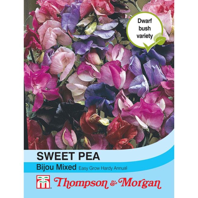 THOMPSON & MORGAN - SWEET PEA BIJOU MIXED SEEDS