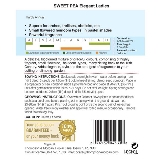 THOMPSON & MORGAN - SWEET PEA ELEGANT LADIES SEEDS - Image 2