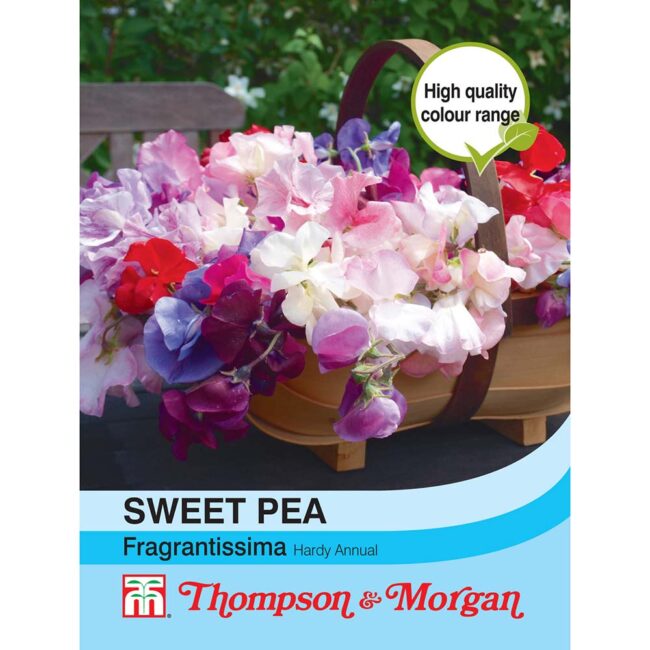 THOMPSON & MORGAN - SWEET PEA FRAGRANTISSIMA SEEDS