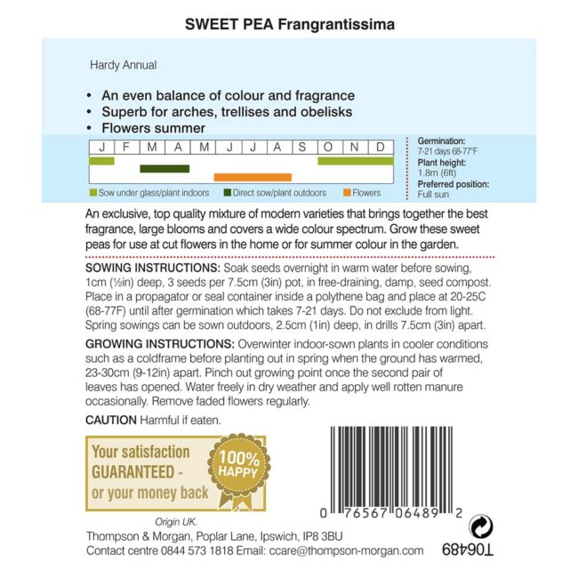 THOMPSON & MORGAN - SWEET PEA FRAGRANTISSIMA SEEDS - Image 2