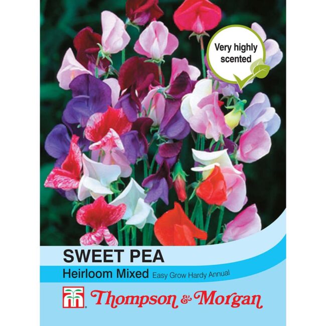 THOMPSON & MORGAN - SWEET PEA HEIRLOOM MIX SEEDS