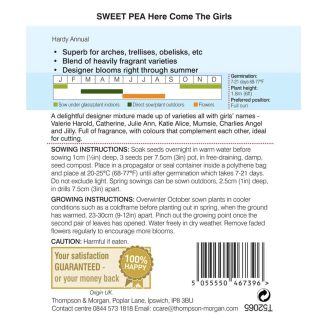 THOMPSON & MORGAN - SWEET PEA HERE COME THE GIRLS SEEDS - Image 2