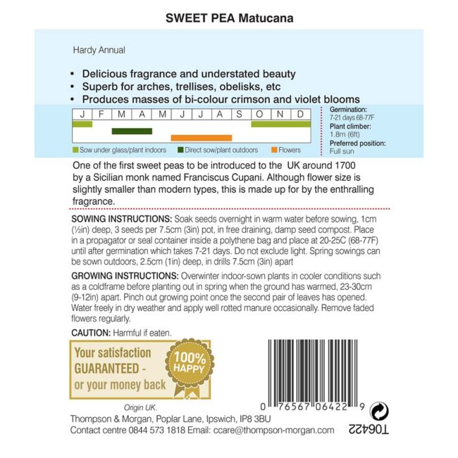 THOMPSON & MORGAN - SWEET PEA MATUCANA SEEDS - Image 2