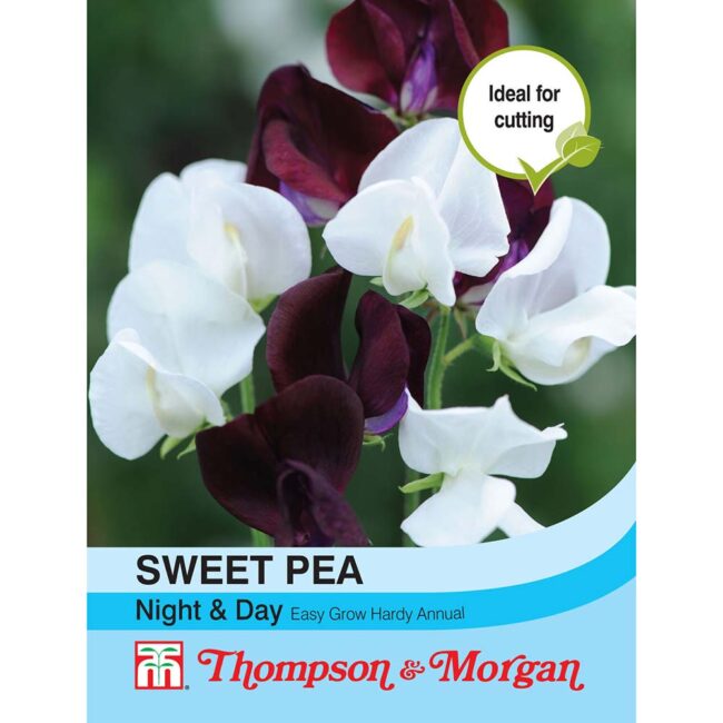 THOMPSON & MORGAN - SWEET PEA NIGHT & DAY SEEDS