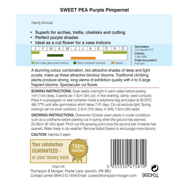 THOMPSON & MORGAN - SWEET PEA PURPLE PIMPERNEL SEEDS - Image 2