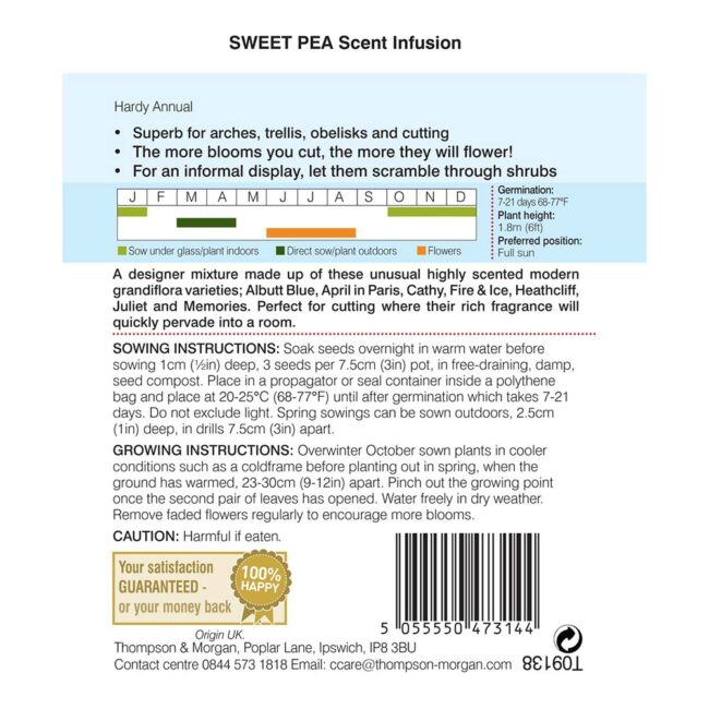THOMPSON & MORGAN - SWEET PEA SCENT INFUSION SEEDS - Image 2