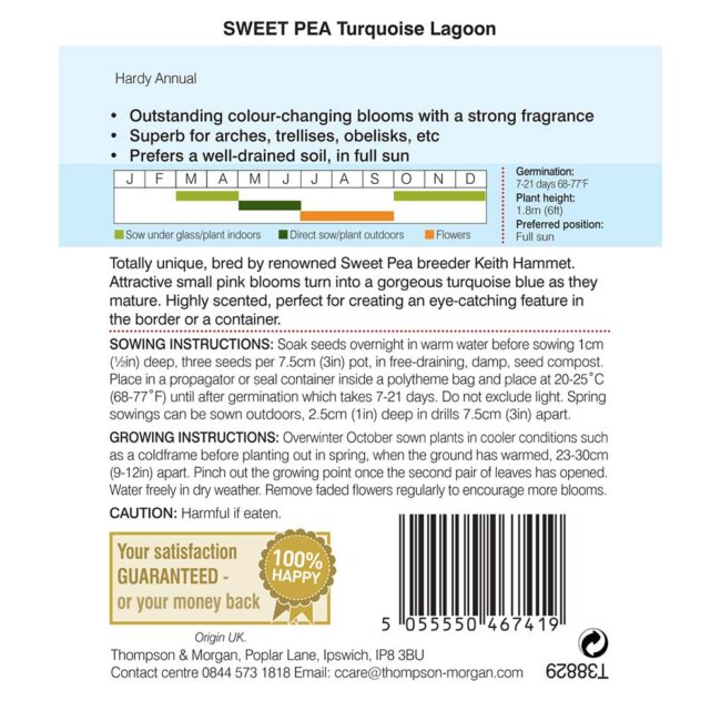 THOMPSON & MORGAN - SWEET PEA TURQUOISE LAGOON SEEDS - Image 2