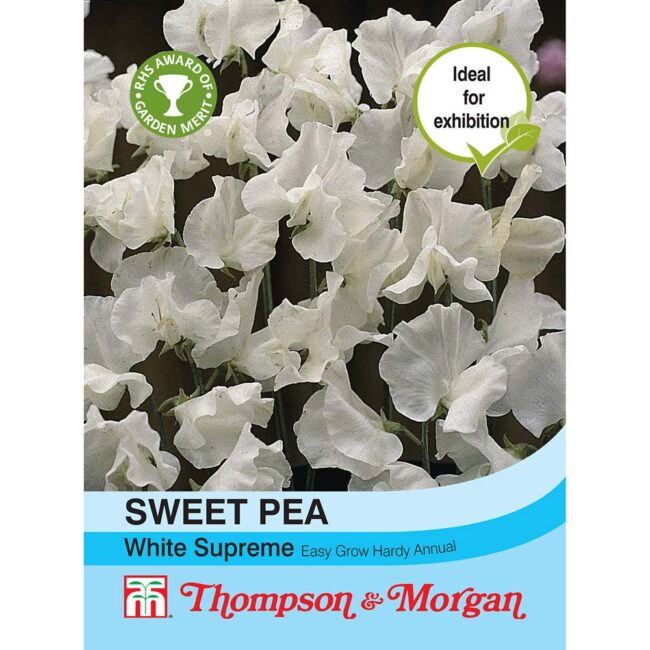 THOMPSON & MORGAN - SWEET PEA WHITE SUPREME SEEDS