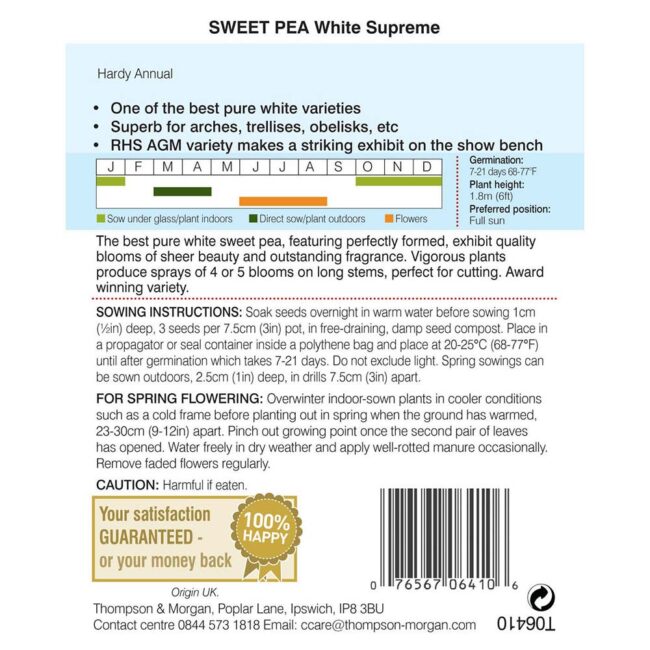 THOMPSON & MORGAN - SWEET PEA WHITE SUPREME SEEDS - Image 2