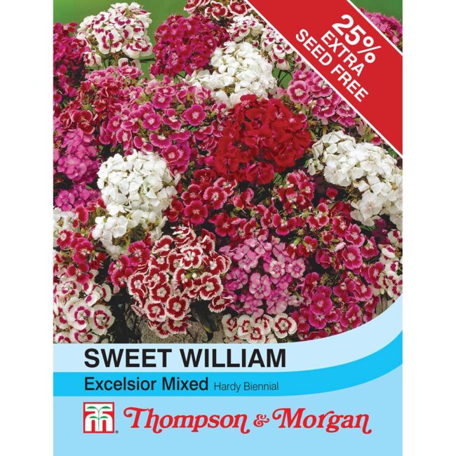 THOMPSON & MORGAN - SWEET WILLIAM EXCELSIOR MIXED SEEDS