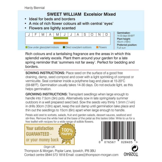 THOMPSON & MORGAN - SWEET WILLIAM EXCELSIOR MIXED SEEDS - Image 2