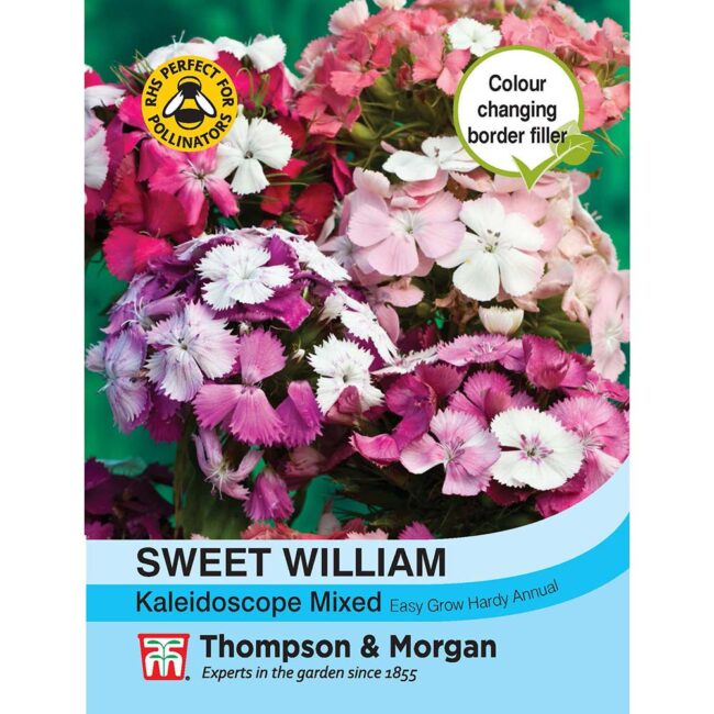 THOMPSON & MORGAN - SWEET WILLIAM KALEIDOSCOPE MIXED SEEDS