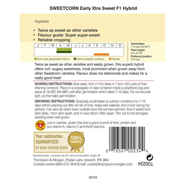 THOMPSON & MORGAN - SWEETCORN EARLY XTRA SWEET F1 HYBRID SEEDS - Image 2