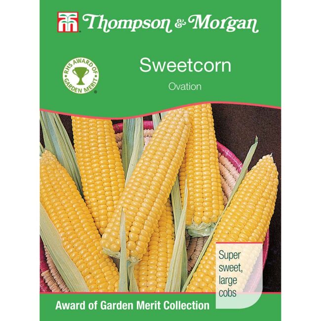 THOMPSON & MORGAN - SWEETCORN OVATION F1 HYBRID