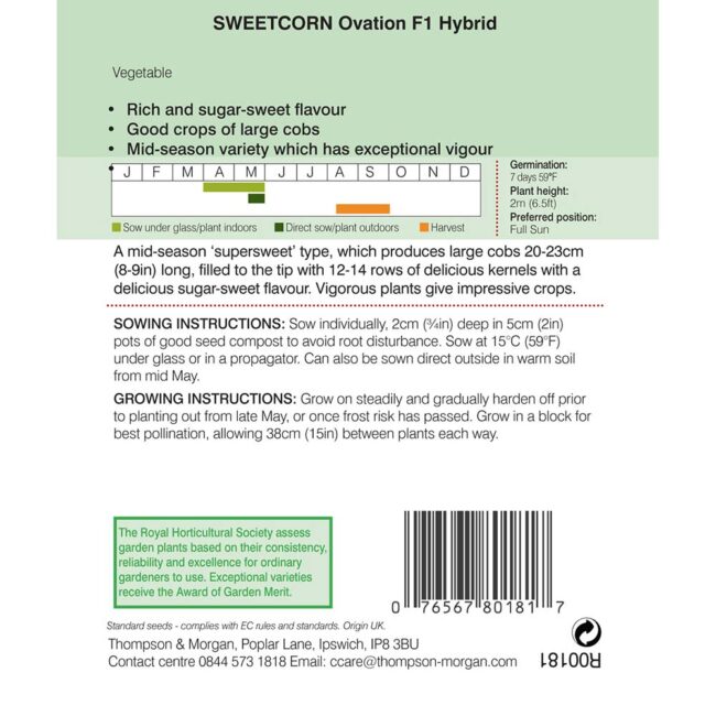 THOMPSON & MORGAN - SWEETCORN OVATION F1 HYBRID - Image 2