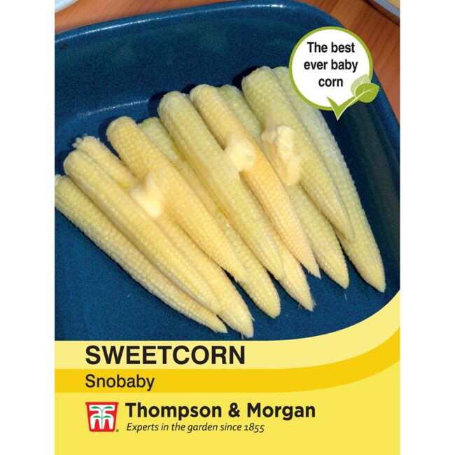THOMPSON & MORGAN - SWEETCORN SNOBABY SEEDS