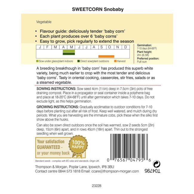 THOMPSON & MORGAN - SWEETCORN SNOBABY SEEDS - Image 2