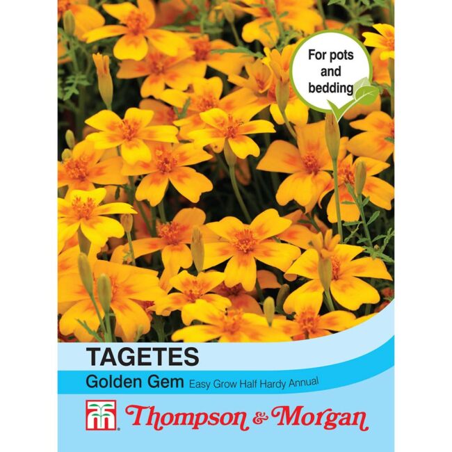 THOMPSON & MORGAN - TAGETES GOLDEN GEM SEEDS