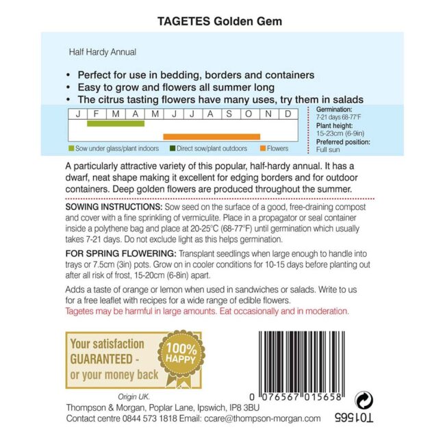 THOMPSON & MORGAN - TAGETES GOLDEN GEM SEEDS - Image 2