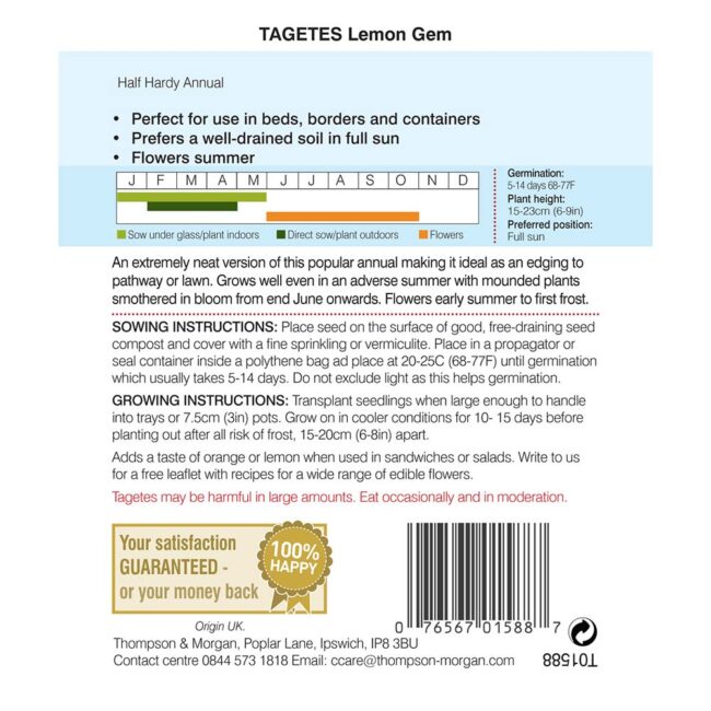 THOMPSON & MORGAN - TAGETES LEMON GEM SEEDS - Image 2
