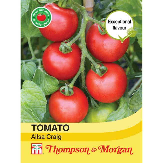 THOMPSON & MORGAN - TOMATO AILSA CRAIG SEEDS