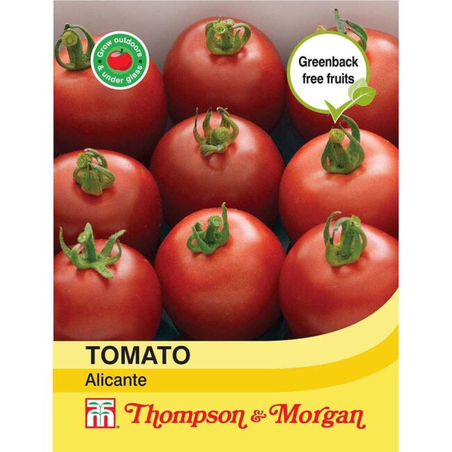 THOMPSON & MORGAN - TOMATO ALICANTE SEEDS
