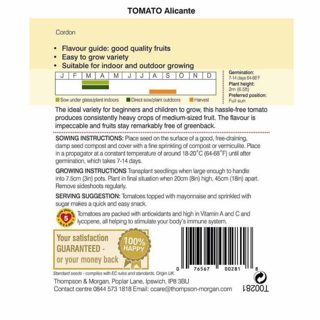 THOMPSON & MORGAN - TOMATO ALICANTE SEEDS - Image 2