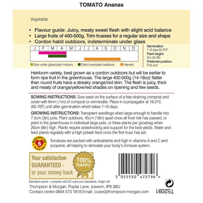 THOMPSON & MORGAN - TOMATO ANANAS SEEDS - Image 2
