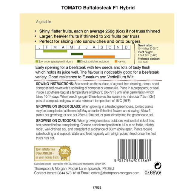 THOMPSON & MORGAN - TOMATO BUFFALOSTEAK F1 HYBRID SEEDS - Image 2