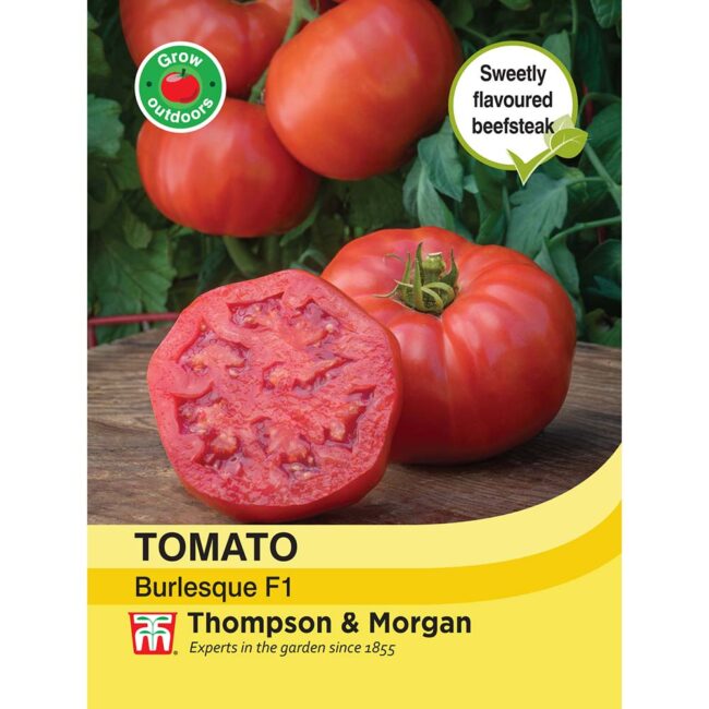 THOMPSON & MORGAN - TOMATO BURLESQUE F1