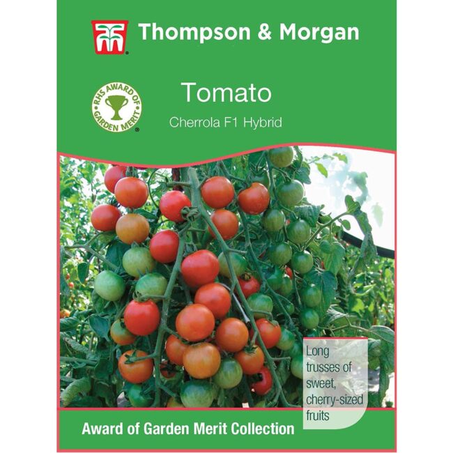 THOMPSON & MORGAN - TOMATO CHERROLA F1 HYBRID
