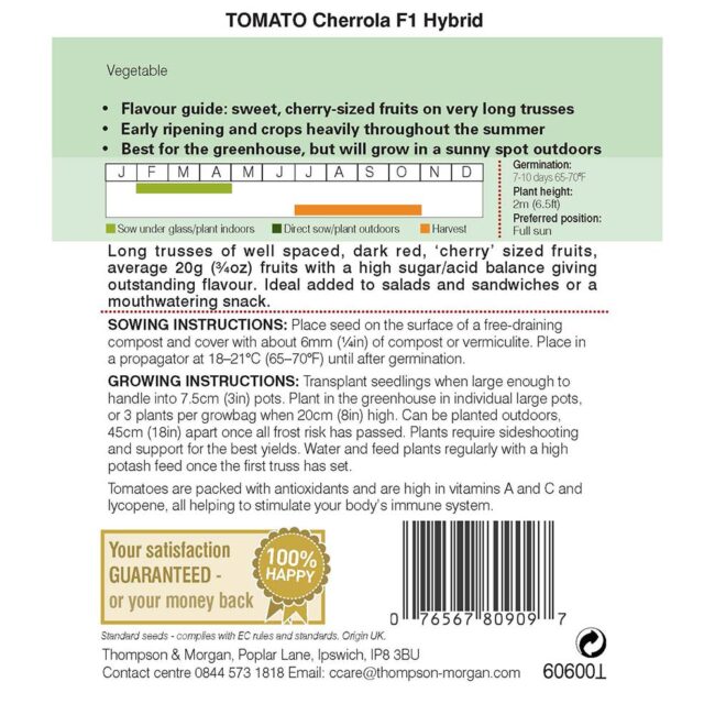 THOMPSON & MORGAN - TOMATO CHERROLA F1 HYBRID - Image 2