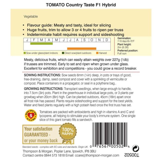 THOMPSON & MORGAN - TOMATO COUNTRY TASTE F1 HYBRID SEEDS - Image 2