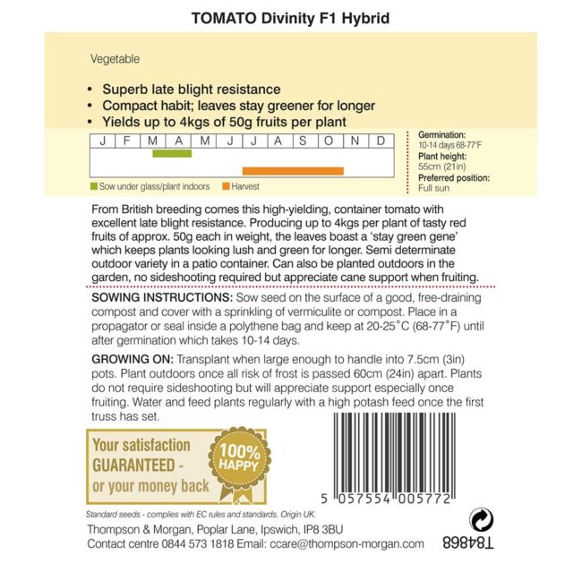 THOMPSON & MORGAN - TOMATO DIVINITY SEEDS - Image 2