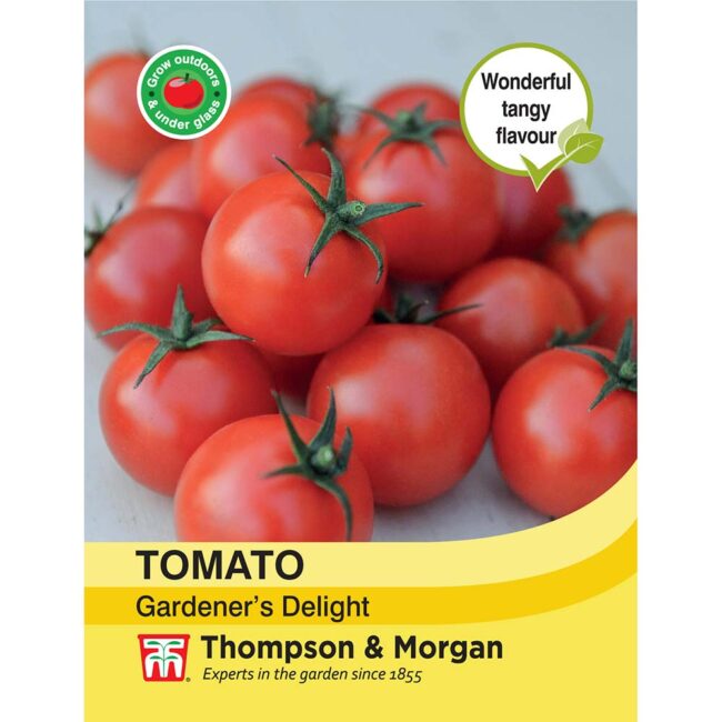 THOMPSON & MORGAN - TOMATO GARDENERS DELIGHT SEEDS