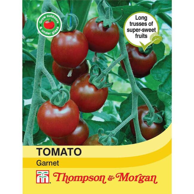 THOMPSON & MORGAN - TOMATO GARNET SEEDS