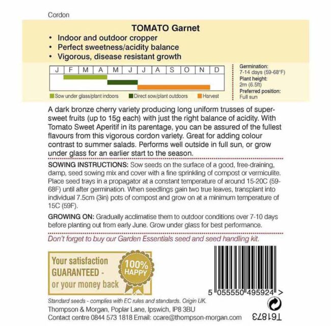 THOMPSON & MORGAN - TOMATO GARNET SEEDS - Image 2
