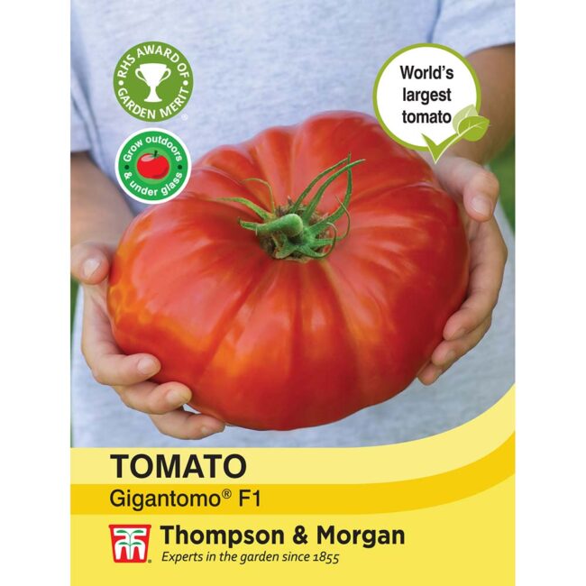 THOMPSON & MORGAN - TOMATO GIGANTOMO F1 HYBRID SEEDS