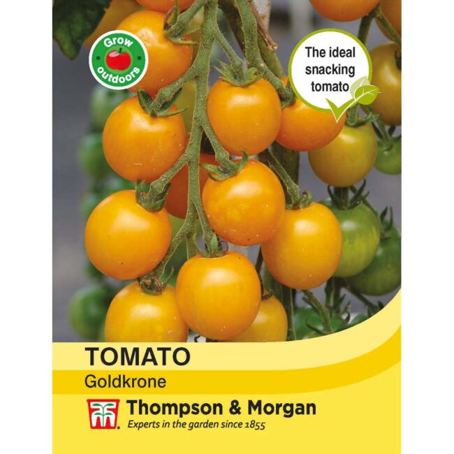 THOMPSON & MORGAN - TOMATO GOLDKRONE SEEDS