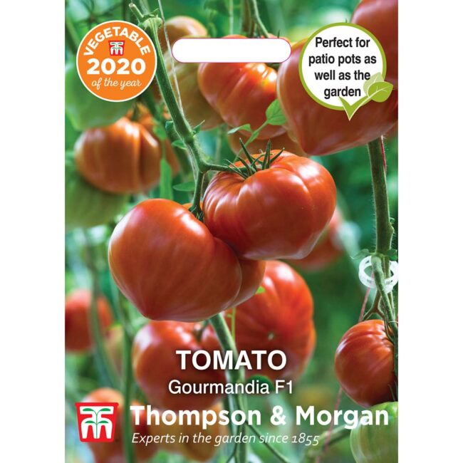 THOMPSON & MORGAN - TOMATO GOURMANDIA F1 HYBRID SEEDS