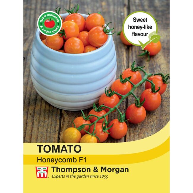 THOMPSON & MORGAN - TOMATO HONEYCOMB F1