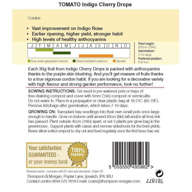 THOMPSON & MORGAN - TOMATO INDIGO CHERRY DROPS SEEDS - Image 2