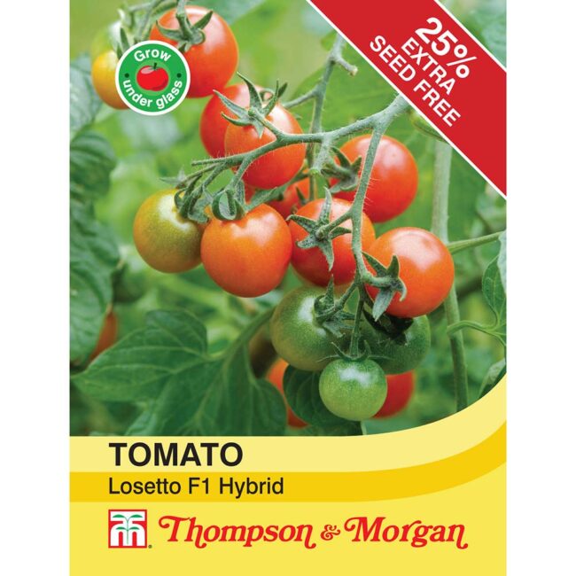 THOMPSON & MORGAN - TOMATO LOSETTO F1 HYBRID SEEDS