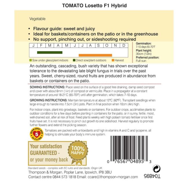 THOMPSON & MORGAN - TOMATO LOSETTO F1 HYBRID SEEDS - Image 2